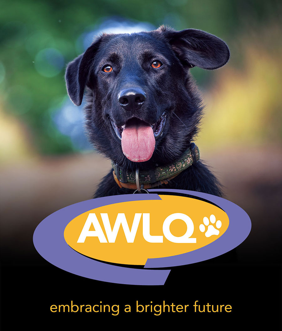 Animal Welfare League of Queensland photo