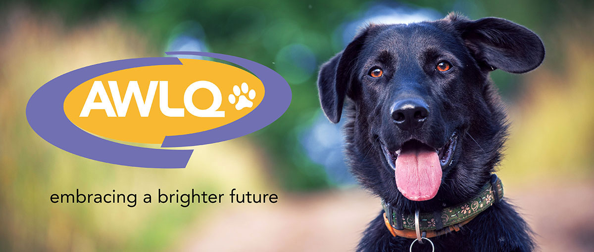 Animal Welfare League of Queensland photo